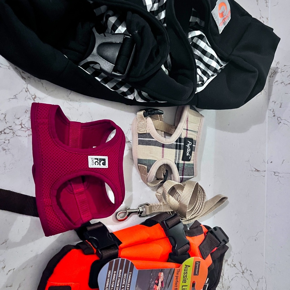 Perfect puppy starter kit - essentials for new puppy